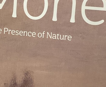 IMG 3594 Estelle Carney