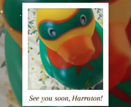 Screenshot 20260204 211739 Gallery Estelle Carney