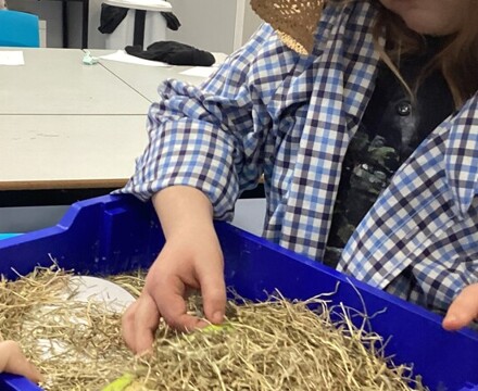 IMG 4965 Holly Francis