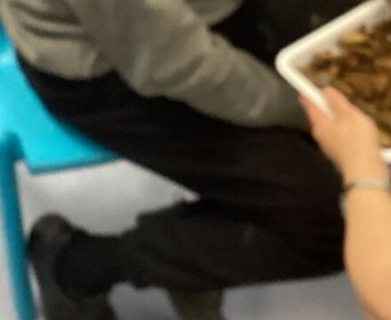 IMG 5001 Jessica Pearce